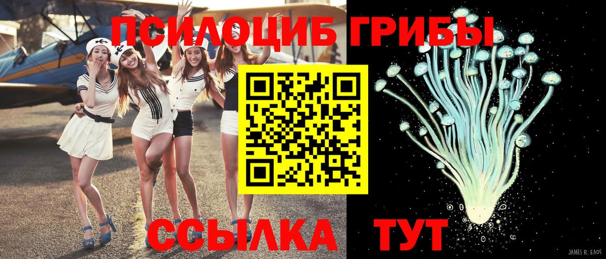 Галлюциногенные грибы мицелий Приморско-Ахтарск