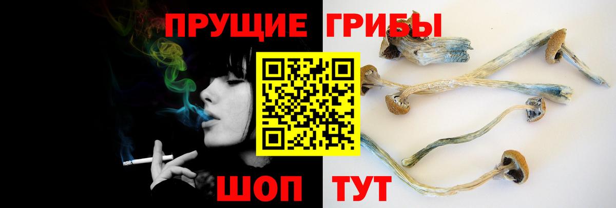 Галлюциногенные грибы мухоморы  Вход с VPN  Приморско-Ахтарск 
