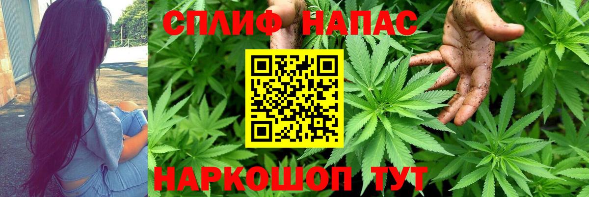 Приморско-Ахтарск  Каннабис тримм  Канабис марихуана  Вход с VPN  Канабис VHQ  Конопля семена 